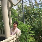Елена 60 лет (Овен) Нарва