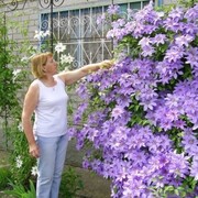 Людмила 53 года (Лев) хочет познакомиться в Пыталове