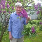 Анатолий, 74, Запрудная
