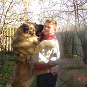 АЛЕКСЕЙ, 52, Родники (Ивановская обл.)