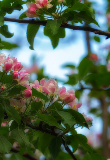 Konstantin (@konstantin010164) — my photo № 6