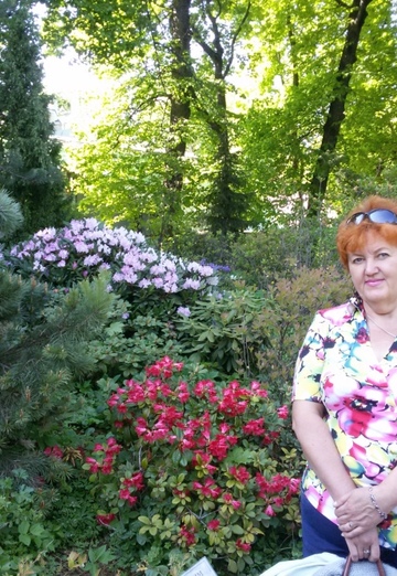 Моя фотография - вероника, 60 из Москва (@veronika15668)