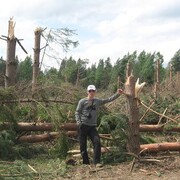 Aleksandr, 62, Ростов