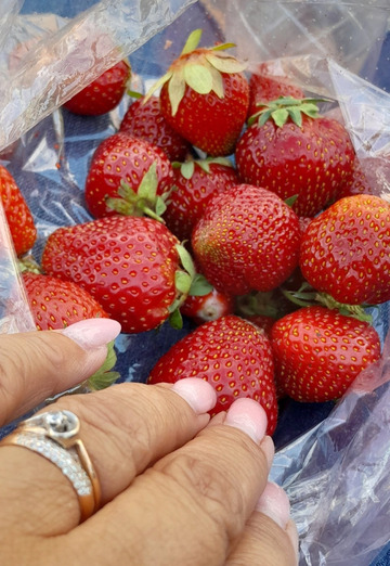 lyudmila (@ludmila67346) — my photo № 3