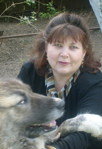 My photo - Elena, 67 from Kirzhach (@elena-chernova56)