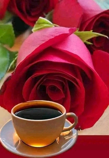 Andrei (@roman173552) — my photo № 8