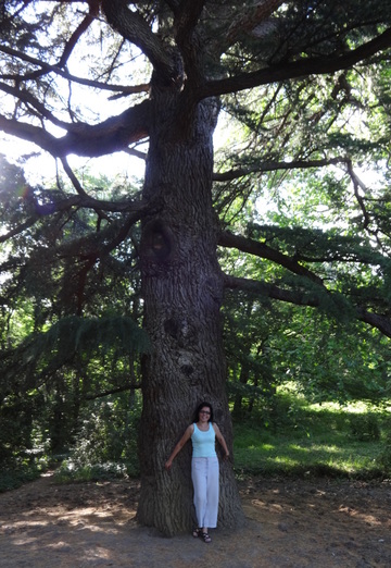 Svetlana (@svetlana90179) — my photo № 8