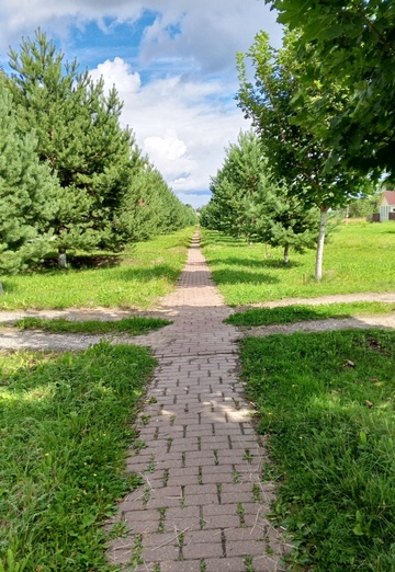 Bez imeni (@lusya3386) — my photo № 3