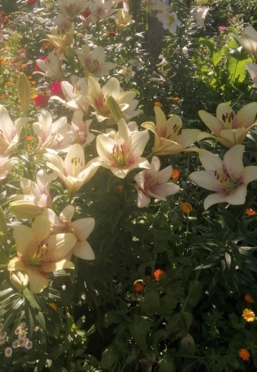 Yanessa (@yanessa31) — my photo № 13