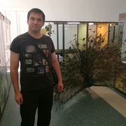 ник, 37, Реутов