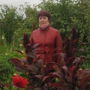 Светлана, 67, Кез