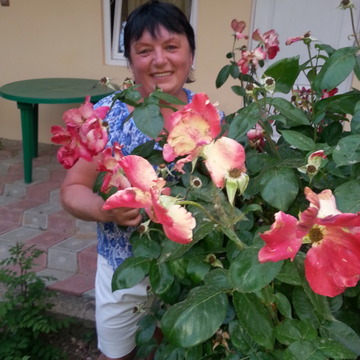Моя фотография - Ирина, 64 из Мурманск (@irina377106)