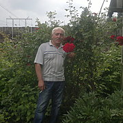 Юрий, 69, Электросталь