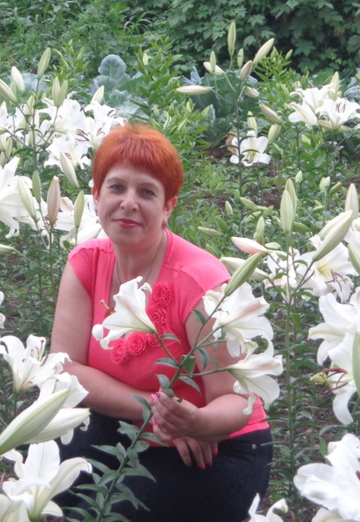 My photo - olga, 62 from Lesozavodsk (@olga142734)
