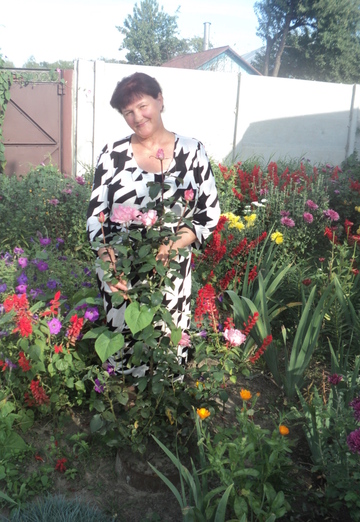 Моя фотография - Нина, 65 из Чернигов (@nina30197)
