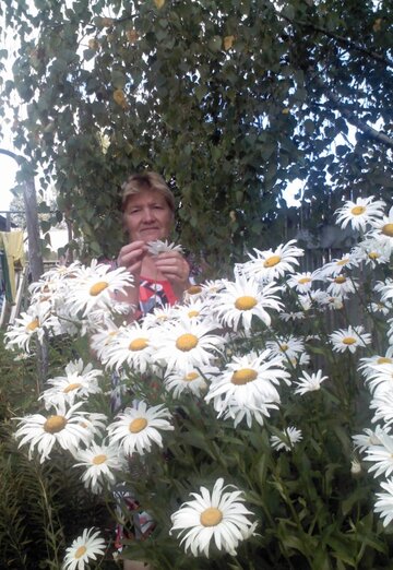 My photo - Valentina, 66 from Safonovo (@valentina46410)
