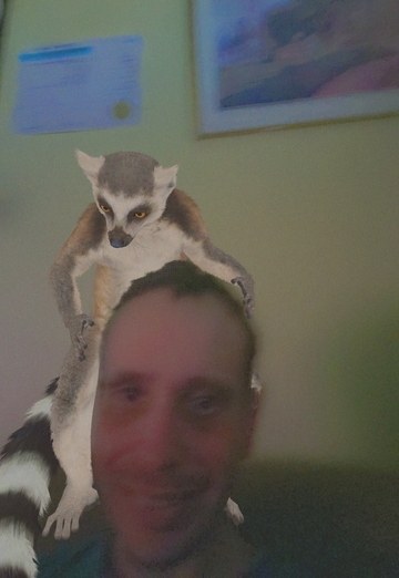 steve jutras (@stevejutras) — my photo № 2