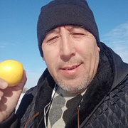 Зойр, 57, Дубна