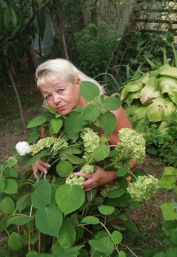 My photo - Lyudmila, 74 from Murmansk (@ludmila8070093)