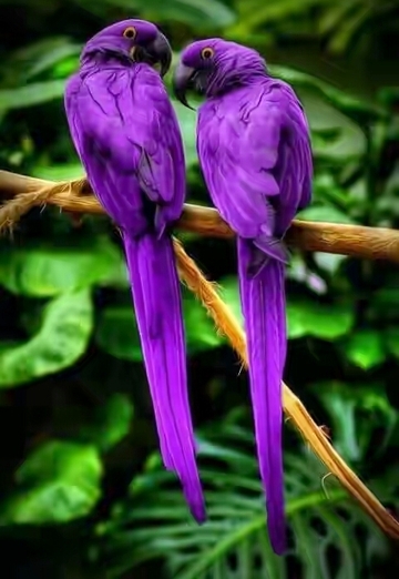 Vishwajeet (@vishwajeet5) — my photo № 2