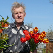 Сергей, 85, Ивангород
