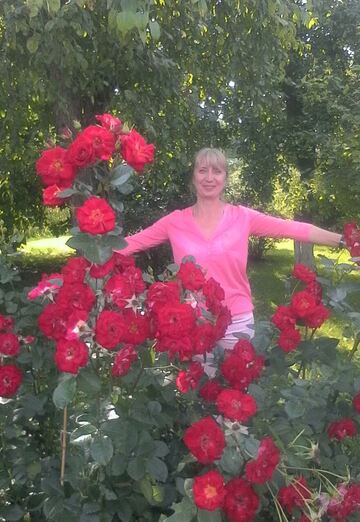 Моя фотография - Елена, 56 из Ливны (@elenapopova59)