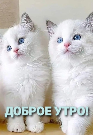 Asif (@asif1516) — my photo № 11