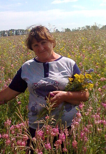 Моя фотография - Людмила, 68 из Бийск (@ludila33)