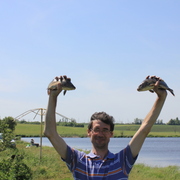 Андрей, 49, Богородицк