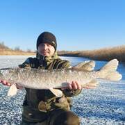 Дмитрий, 31, Мордово