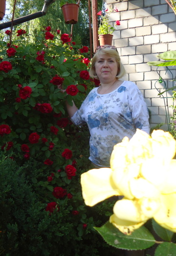 Моя фотография - людмила, 63 из Бобруйск (@ludmila21338)