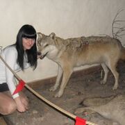 Лена, 42, Новокуйбышевск