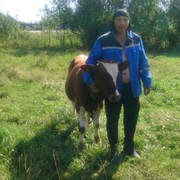 Володя, 61, Старая Русса
