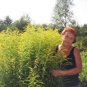 Зинаида Шилова (Будин, 68, Губаха