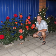 Александр, 56, Думиничи