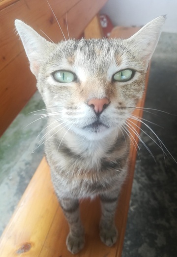 Valentina (@valentina13974) — my photo № 6