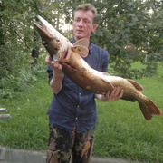 андрей, 51, Сестрорецк