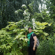 Елена, 58, Хабаровск