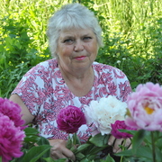 Людмила, 72, Калачинск