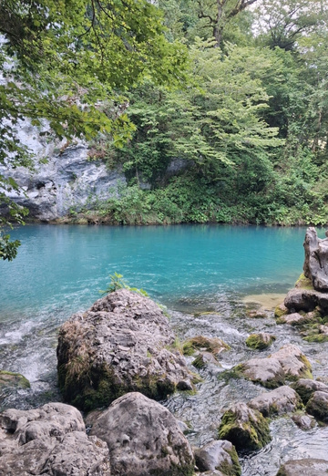 🦊ღ✿ܓ LISA ✿ܓღ🦊 (@20lisa25) — my photo № 1