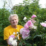 Сергей, 78, Ивангород