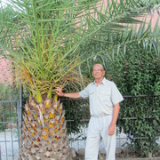Анатолий, 65, Ижевск