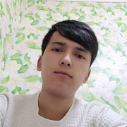 Ахмед, 22, Мурманск