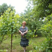 Елена, 57, Каневская