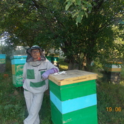 Галина, 76, Бирск