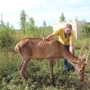 Aleksei Slugin, 46, Вязьма