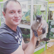 Александр, 37, Саратов