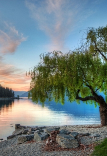 Jenya (@jenya94857) — my photo № 5