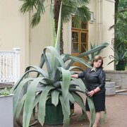 Анечка, 32, Кизляр