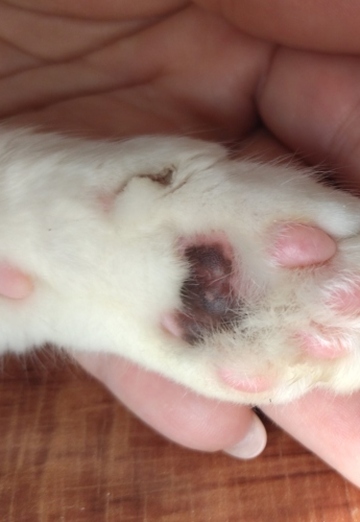 Sveta Svetlaya (@svetasvetlaya6) — my photo № 2